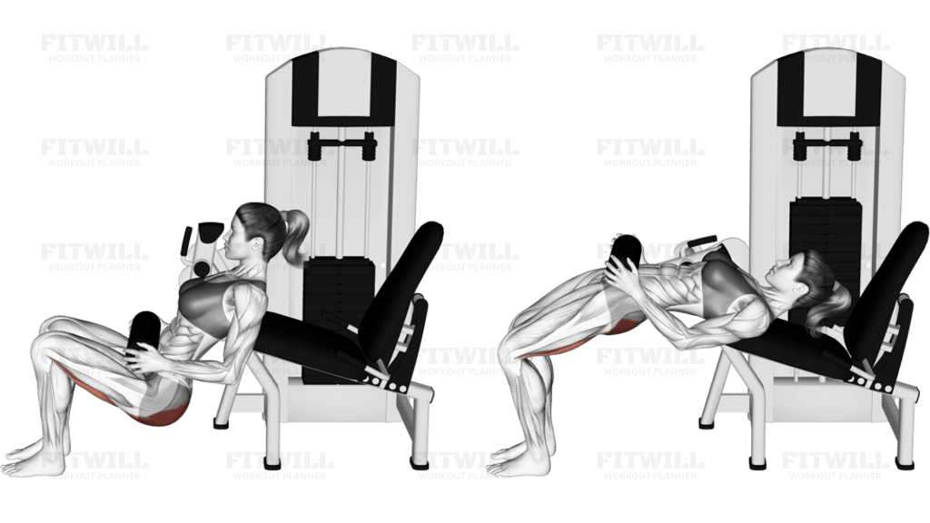 Lever Hip Thrust (VERSION 2)