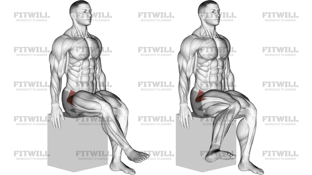 Hip - Medial Rotation (Internal Rotation) - Articulations: Guide ...