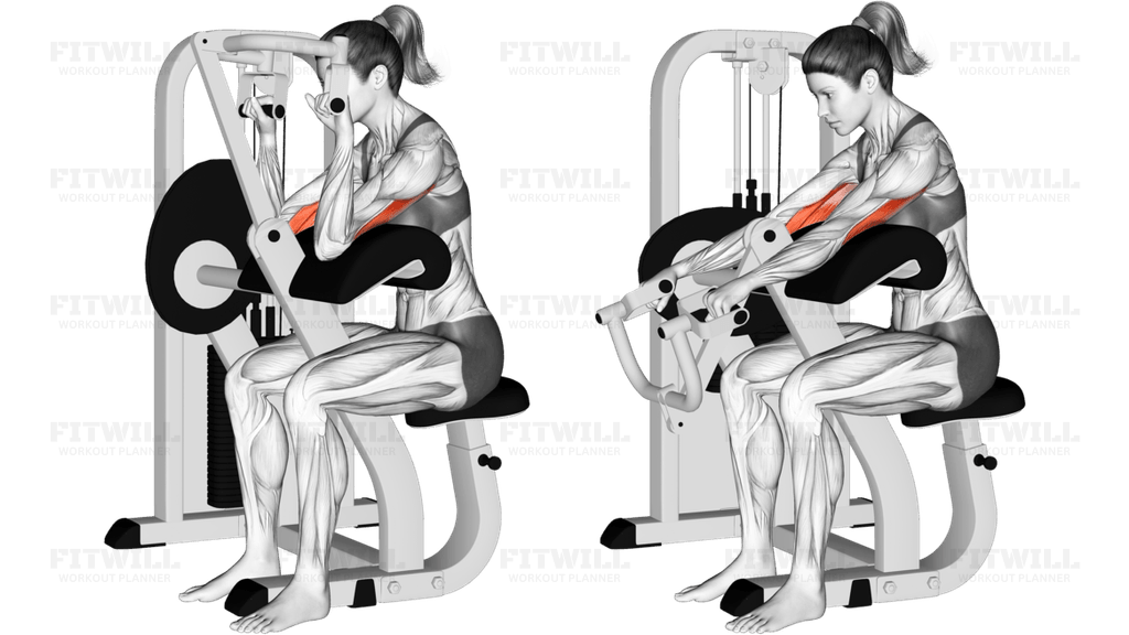 Lever Triceps Extension (VERSION 2)