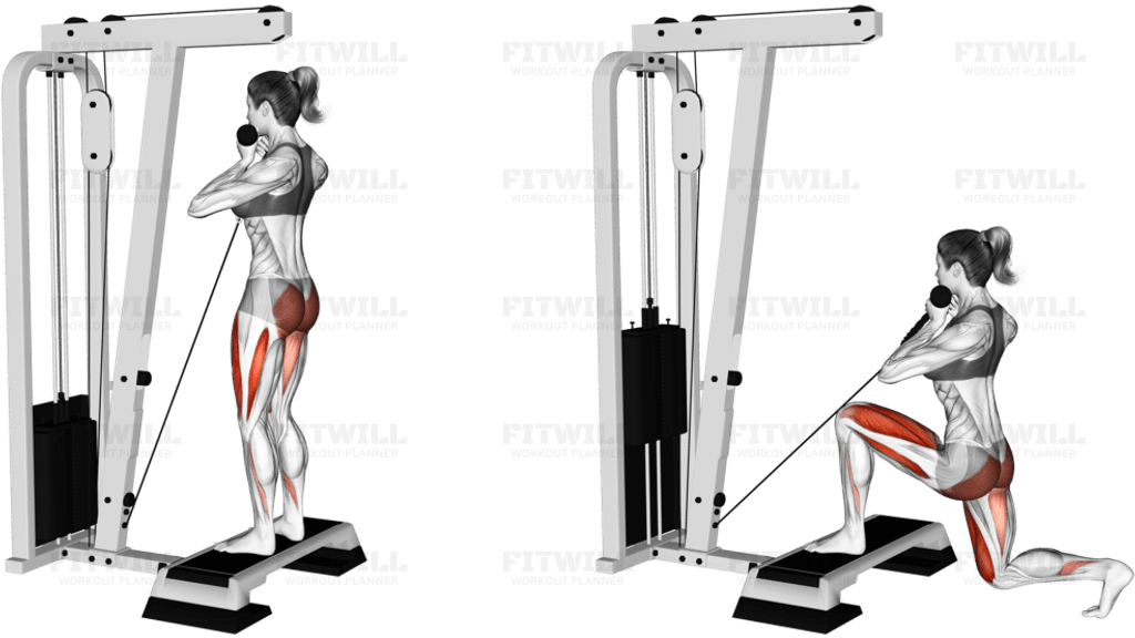 Cable Rear Lunge from Stepbox