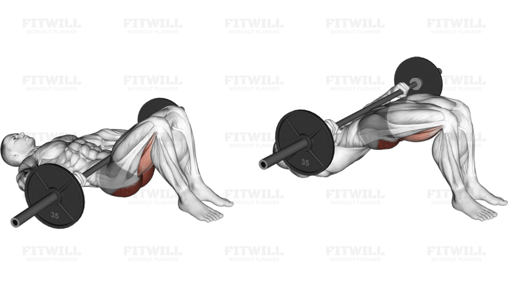 Barbell Glute Bridge (hands on bar)