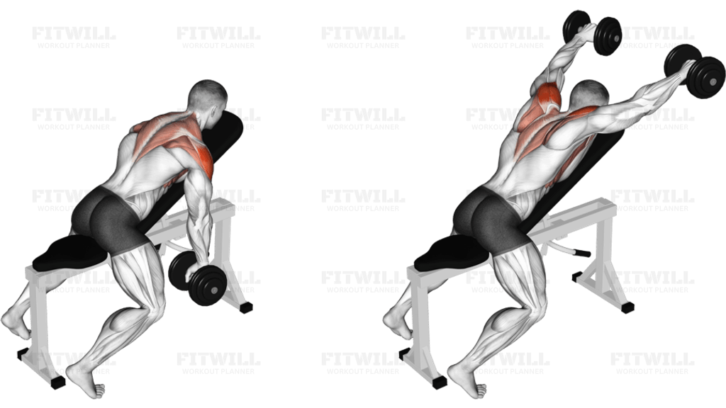 Dumbbell Incline Y-Raise