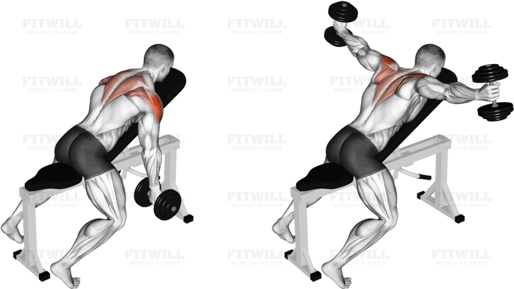 Dumbbell Incline T-Raise