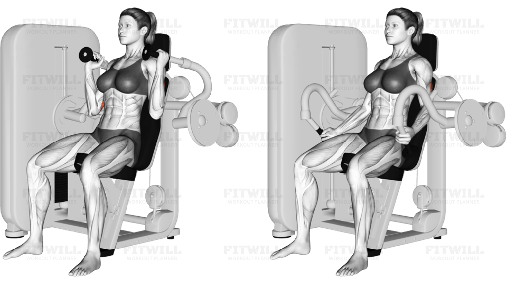 Lever Triceps Extension