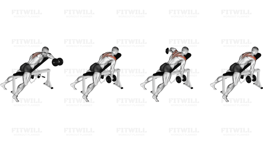 Dumbbell Incline Alternate Reverse Fly: Guide, Techniques, Benefits ...