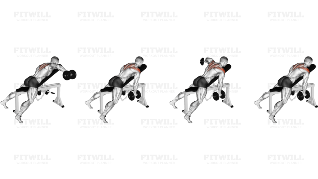 Dumbbell Incline Alternate Reverse Fly