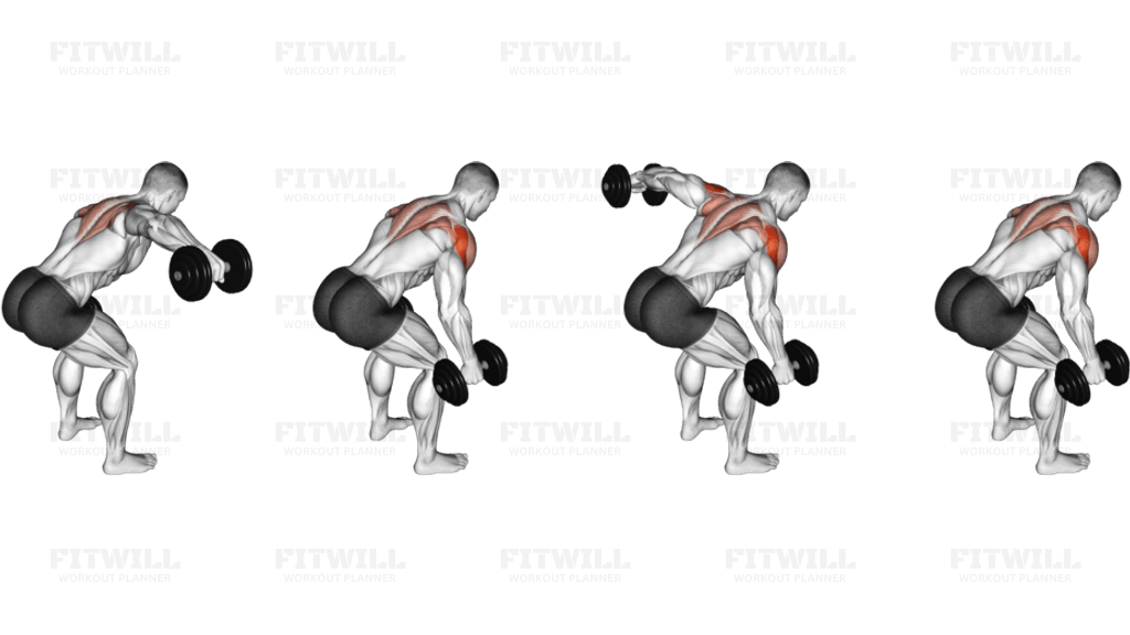 Dumbbell Bent Over Alternate Rear Delt Fly