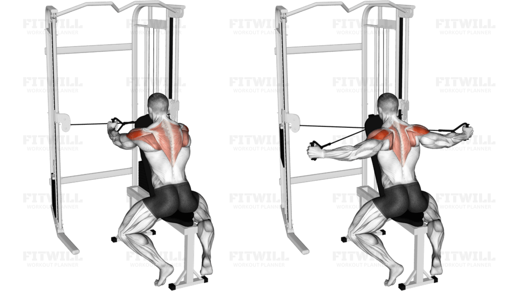 Cable Seated Rear Delt Fly with Chest Support