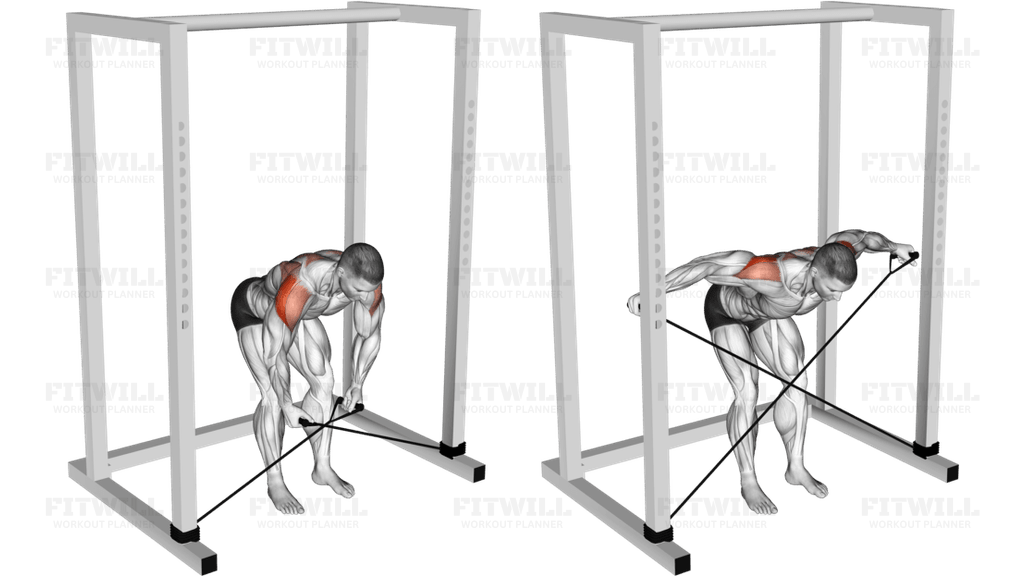 Band bent-over rear lateral raise