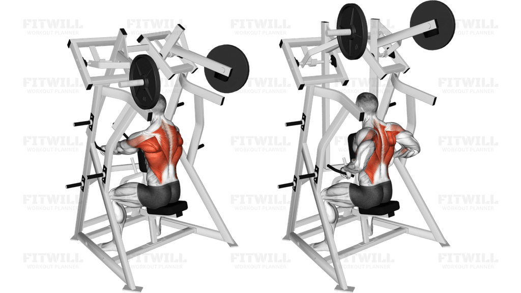 Lever Low Row (plate loaded)