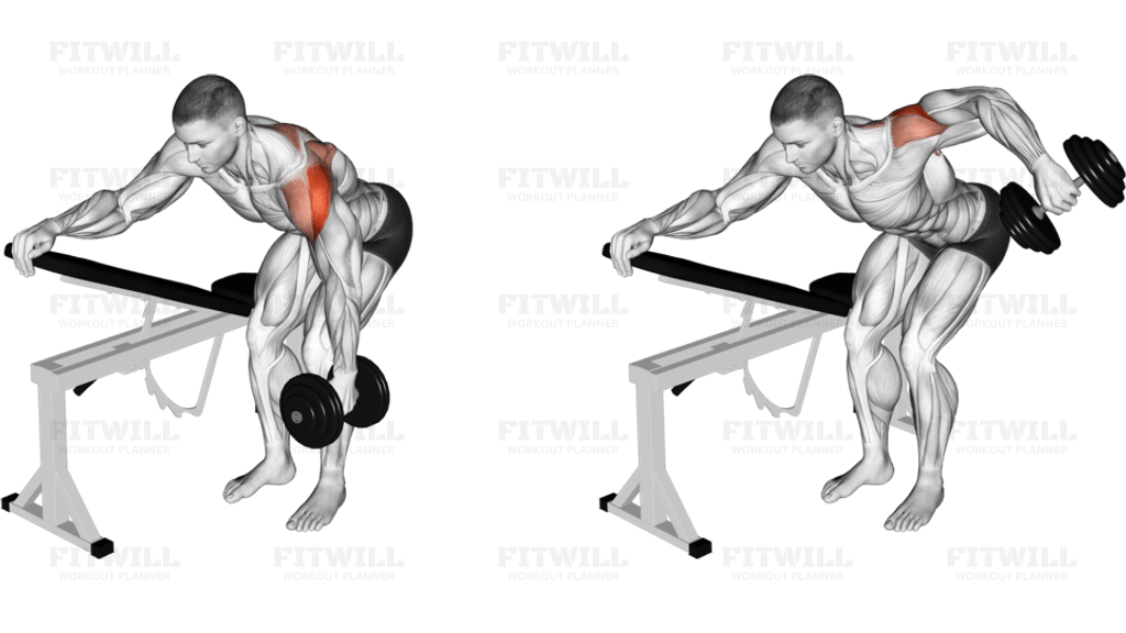 Dumbbell One Arm Reverse Fly (with support) (VERSION 2)