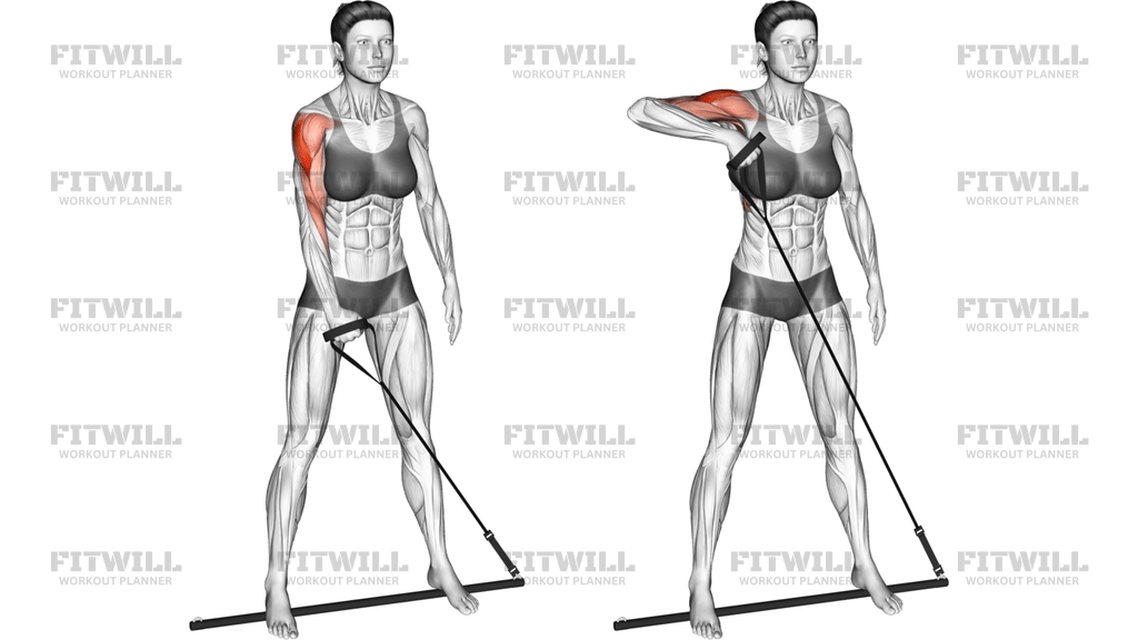 Bar Band Standing Single Arm Upright Row: Guide, Techniques, Benefits ...
