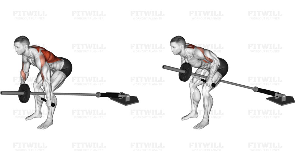 Lever Bent over Wide Row (plate loaded): Guide, Techniques, Benefits ...