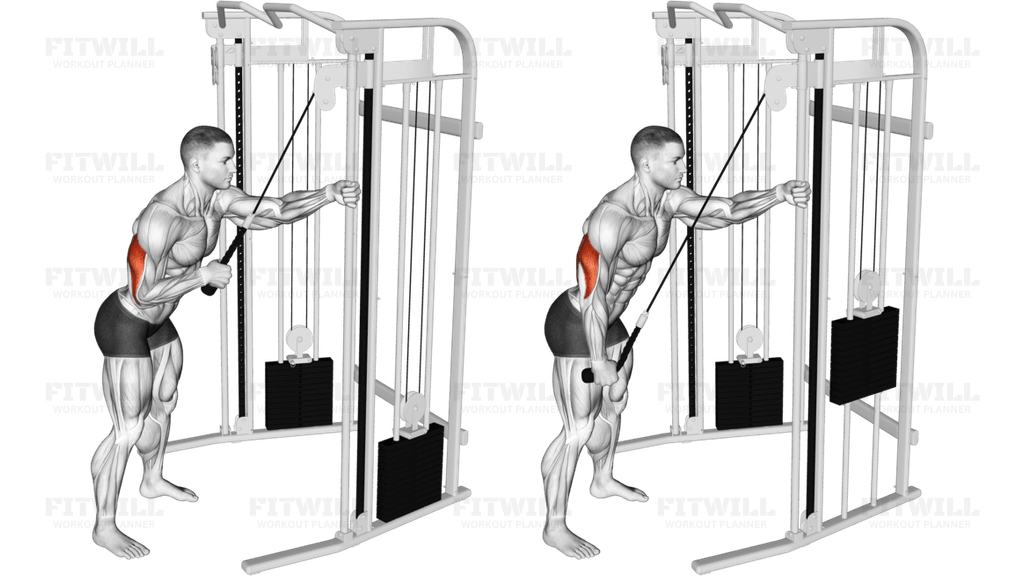 Cable Single Arm Triceps Pushdown (Rope Attachment)