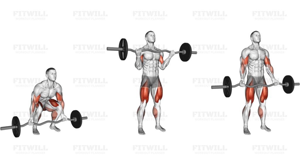 EZ bar Deadlift with Biceps Curl