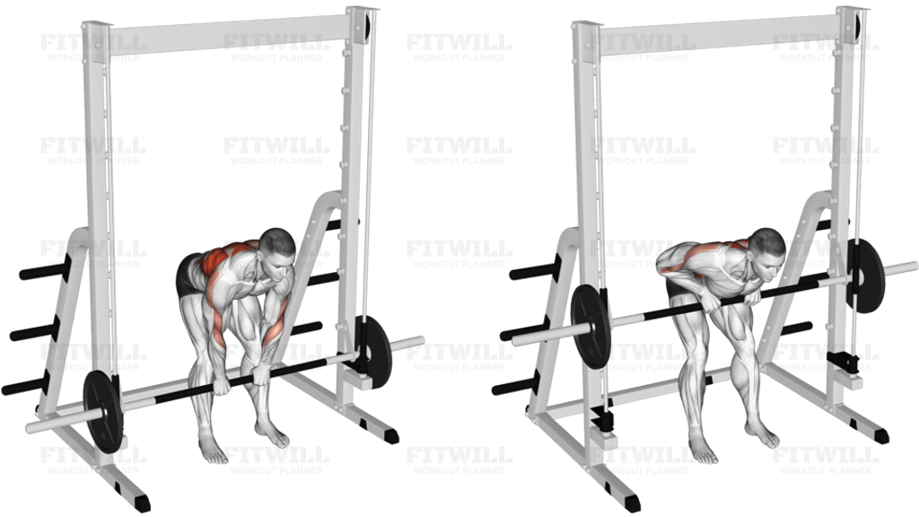 Smith Bent Over Narrow Pronated Grip Row