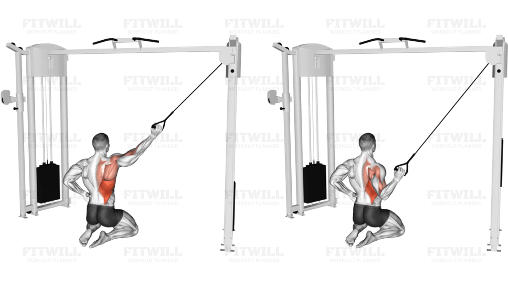 Cable Kneeling Single Lat Pulldown