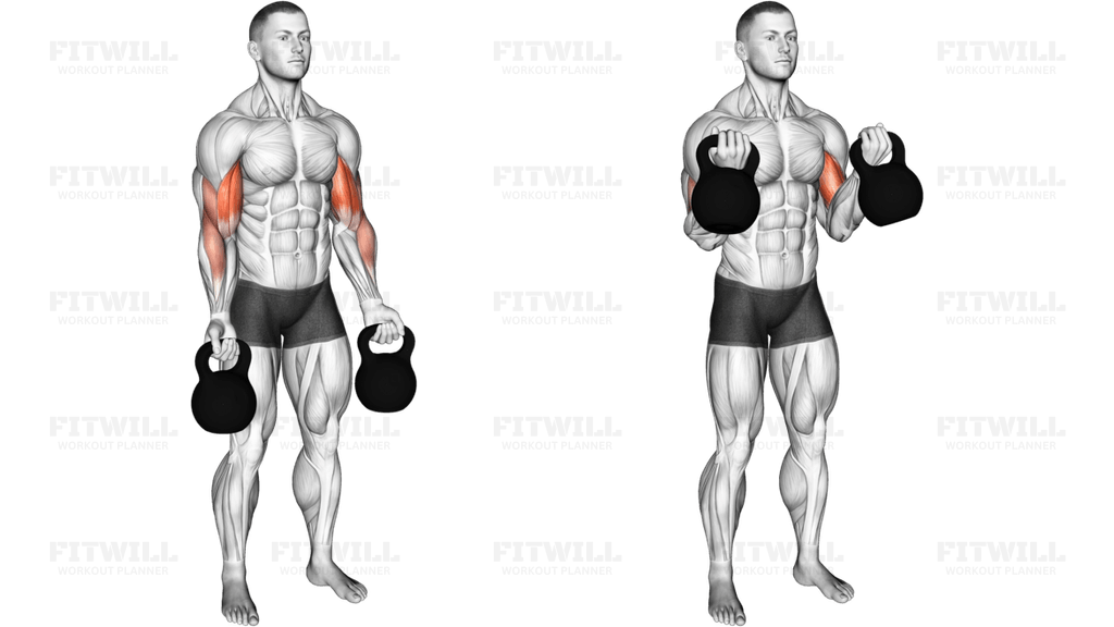 Kettlebell Biceps Curl