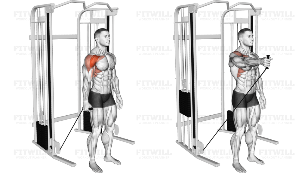 Cable Single Arm Neutral Grip Front Raise