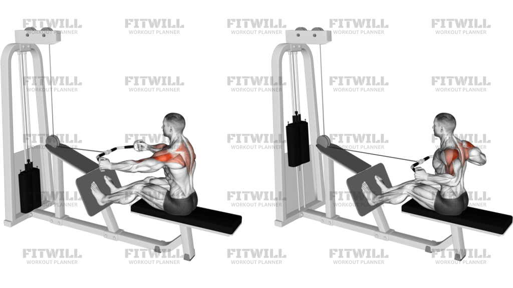 Cable Standing Rear Delt Row (with rope): Guide, Techniques, Benefits ...