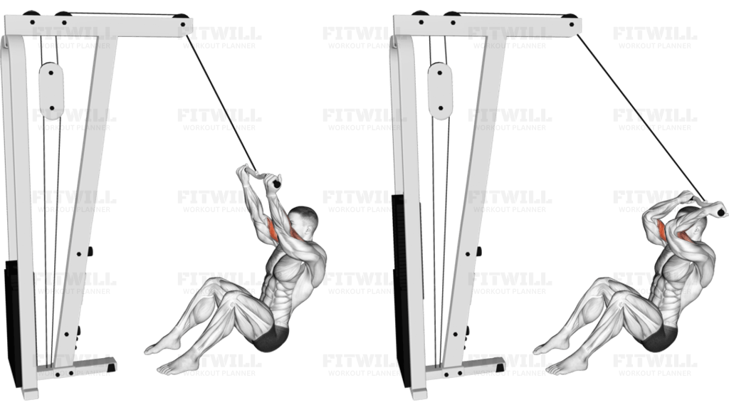 Cable Seated Overhead Curl (SZ Bar)