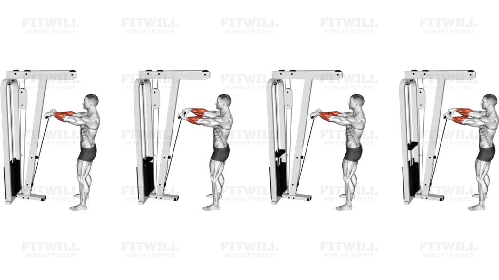 Cable Standing Wrist Roll