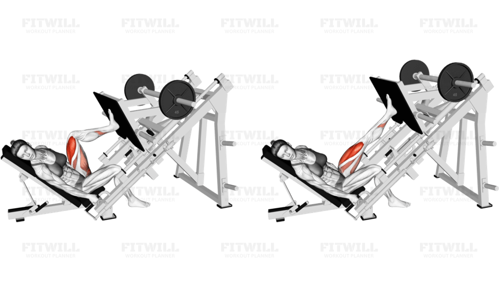 Sled Angled Single Leg Press